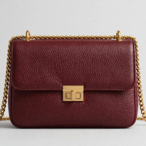 Luxury handbag stand-in photo